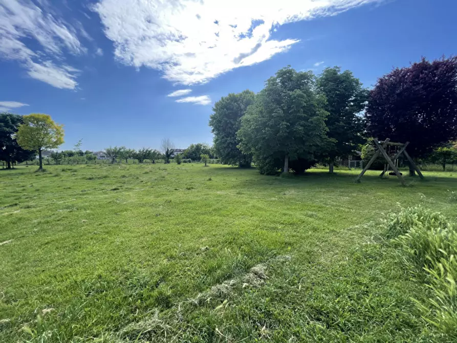 Immagine 45 di Villa in vendita  in Via Roma a Legnaro