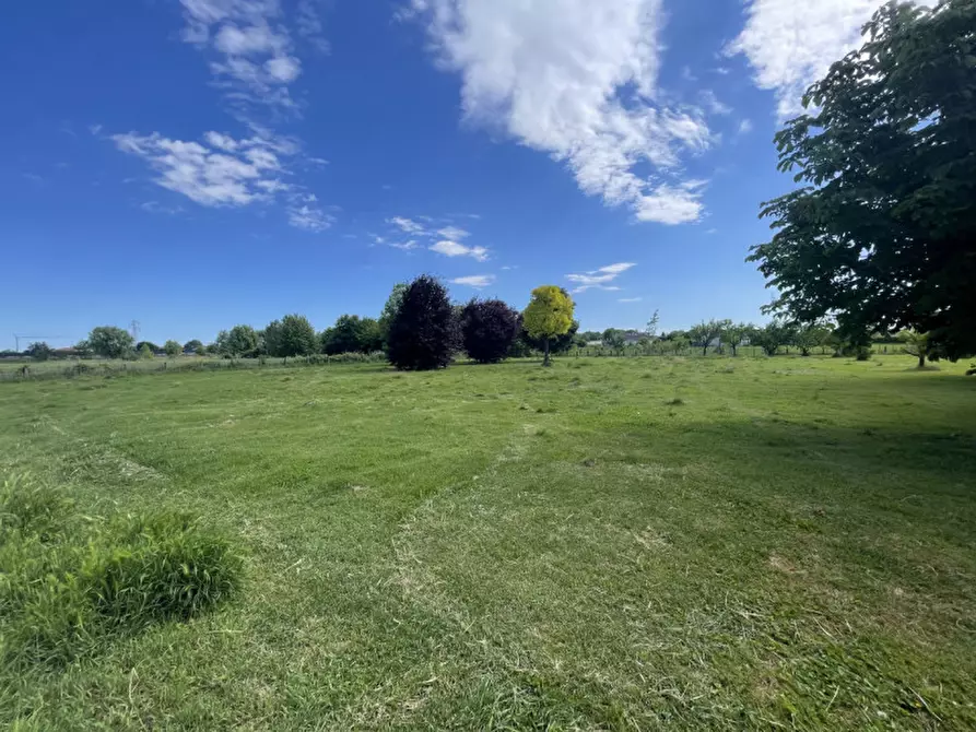 Immagine 46 di Villa in vendita  in Via Roma a Legnaro