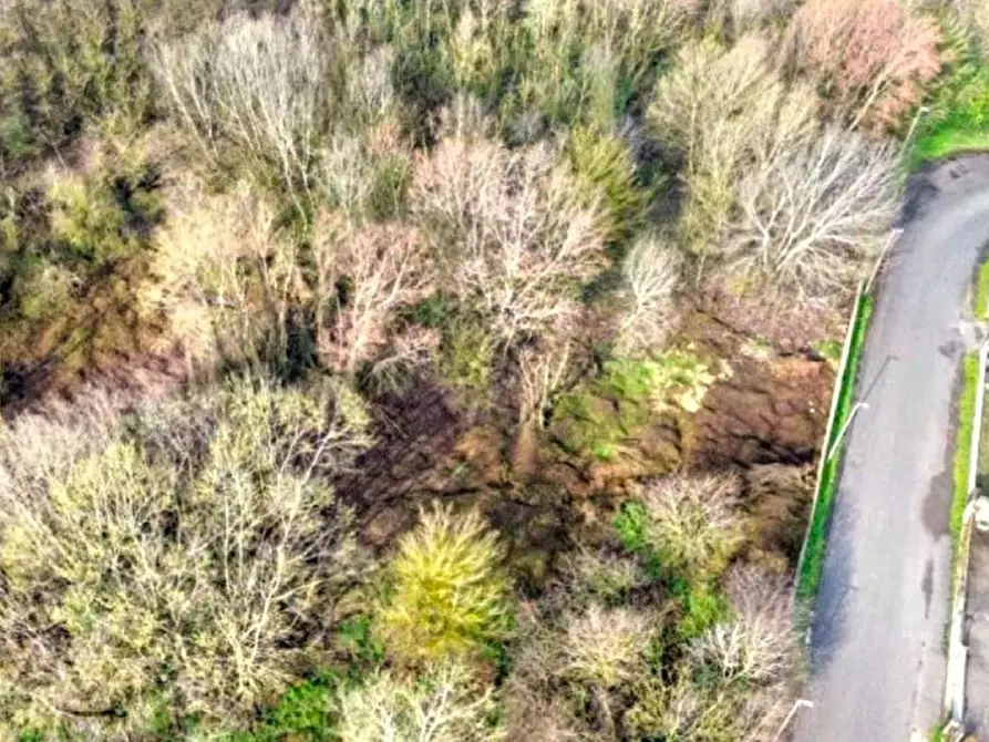 Immagine 6 di Terreno in vendita  in Via delle Industrie, 26100 Cremona CR, Italia a Cremona