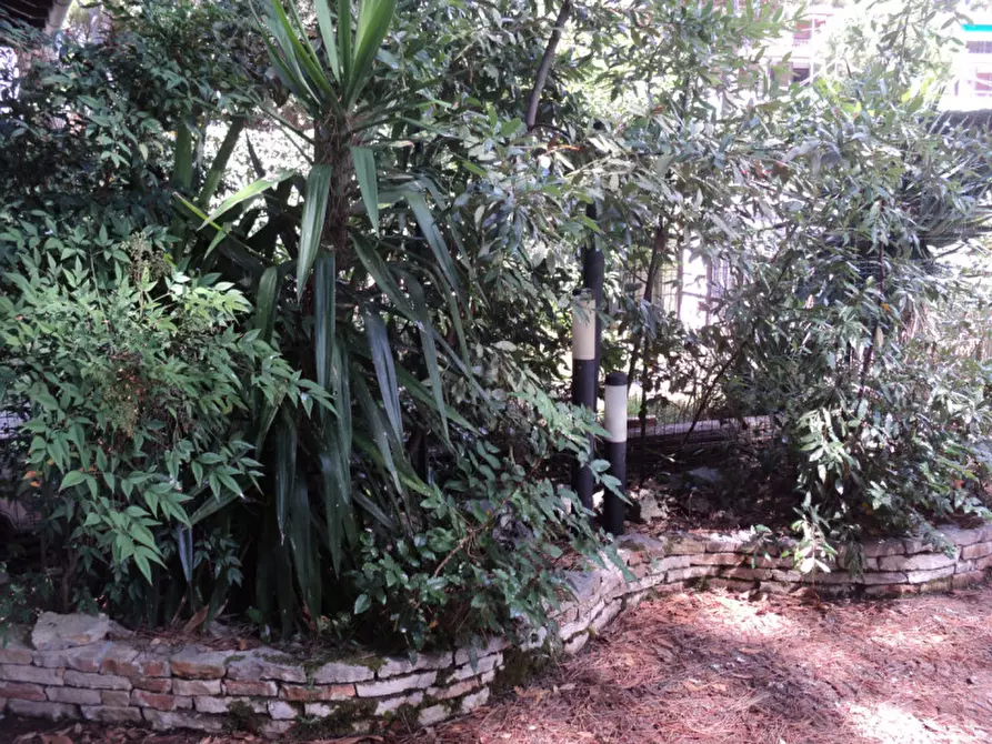 Immagine 2 di Villetta a schiera in vendita  in via cimabue 46 a Comacchio