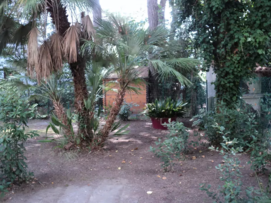 Immagine 15 di Villetta a schiera in vendita  in VIA MANTEGNA 98 a Comacchio