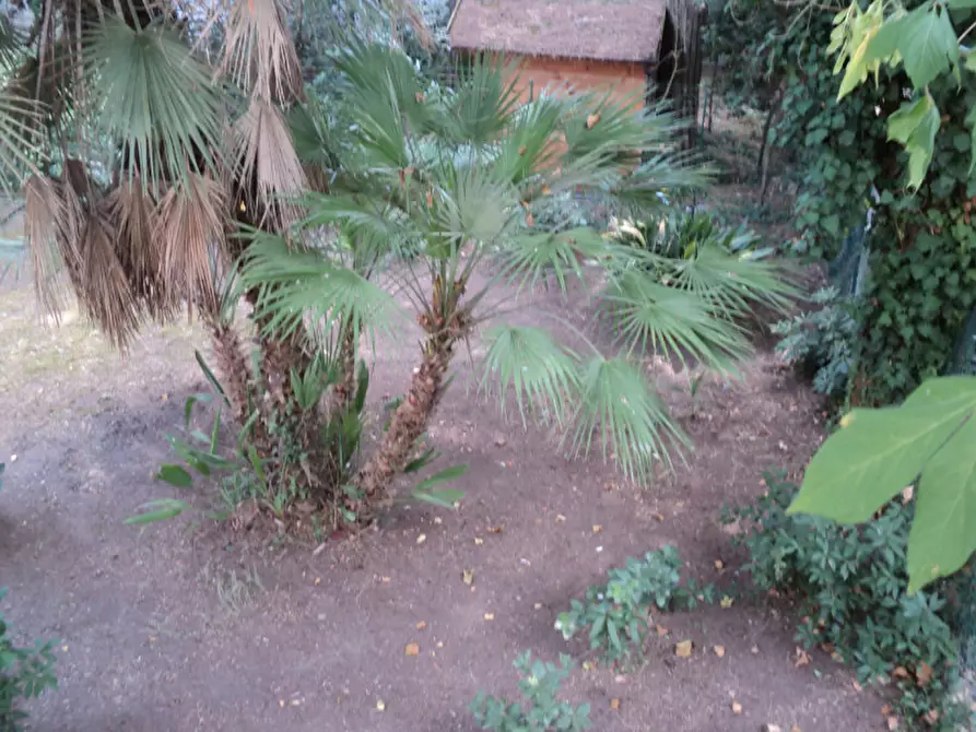 Immagine 29 di Villetta a schiera in vendita  in VIA MANTEGNA 98 a Comacchio