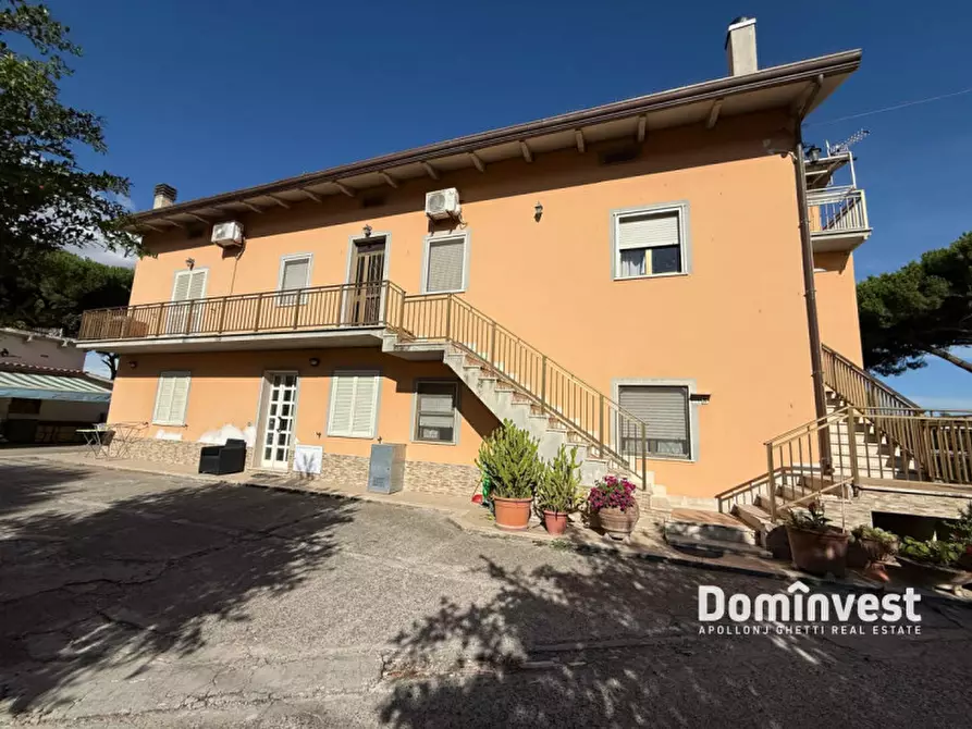 Immagine 12 di Appartamento in affitto  in Strada della principessa a Montalto Di Castro