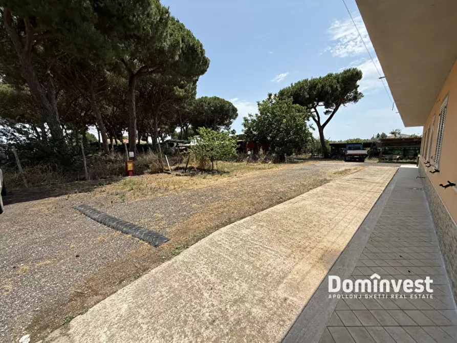 Immagine 18 di Appartamento in affitto  in Strada della principessa a Montalto Di Castro