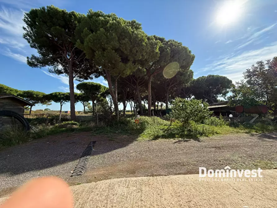 Immagine 20 di Appartamento in affitto  in Strada della principessa a Montalto Di Castro