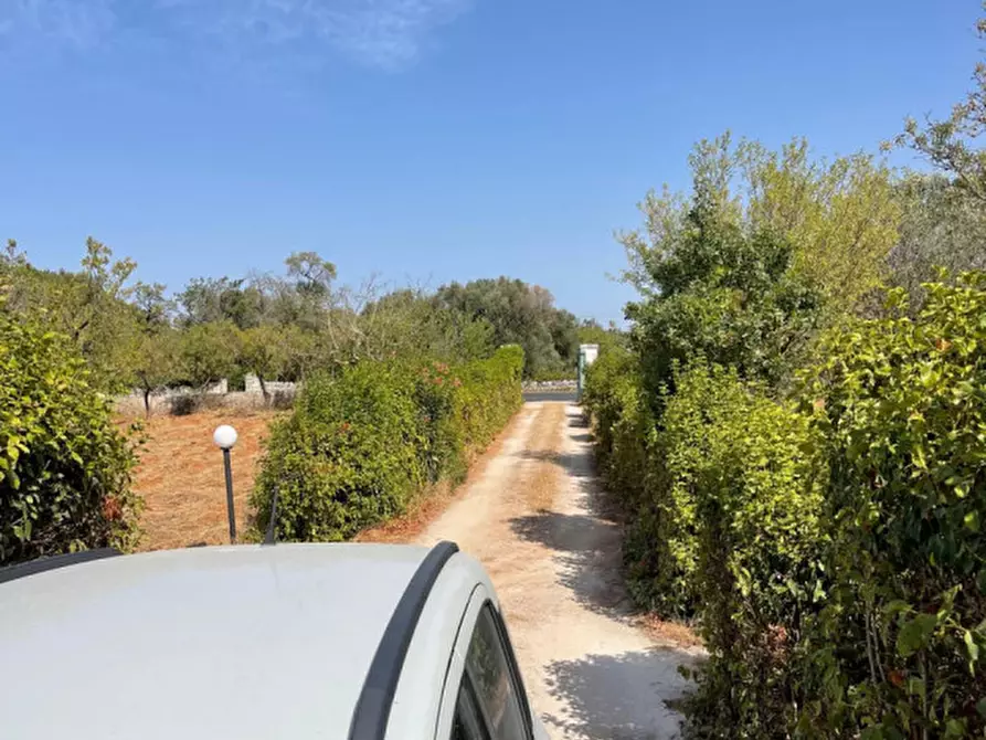 Immagine 22 di Rustico / casale in vendita  in Contrada Montevecchio a Ceglie Messapico