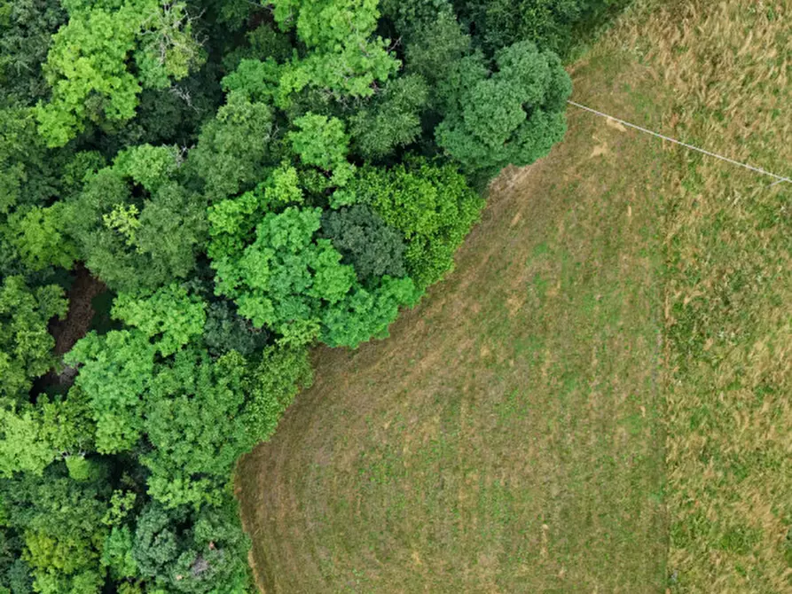 Immagine 2 di Terreno in vendita  in Via Nazario Sauro a Marano Vicentino