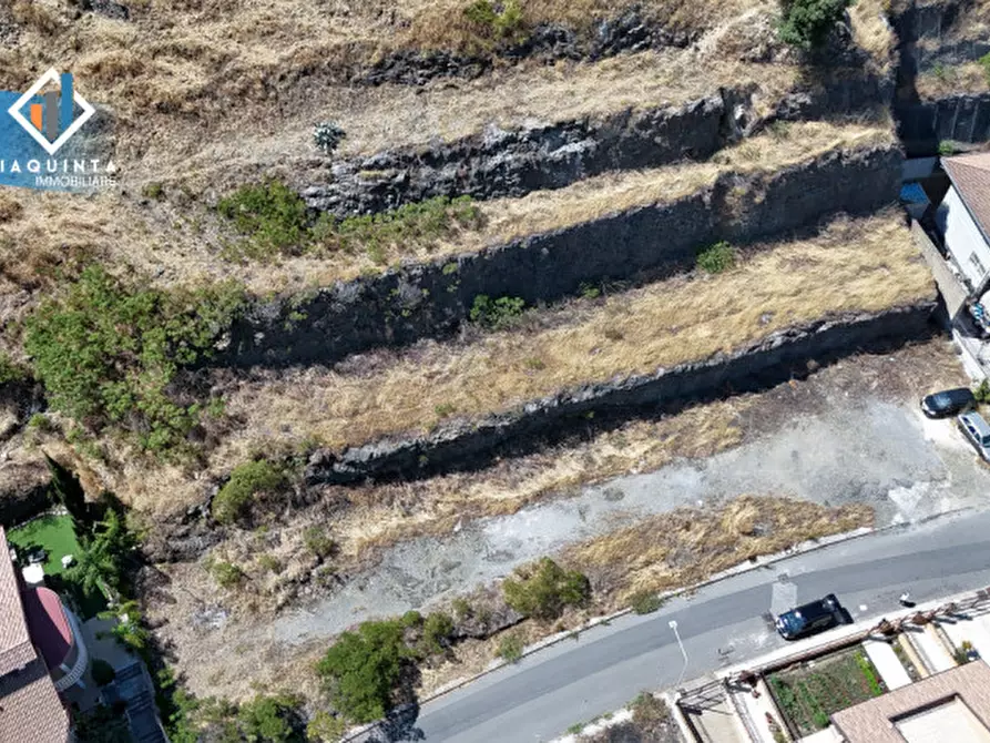 Immagine 6 di Terreno in vendita  in Viale Giovanni Falcone a Palagonia