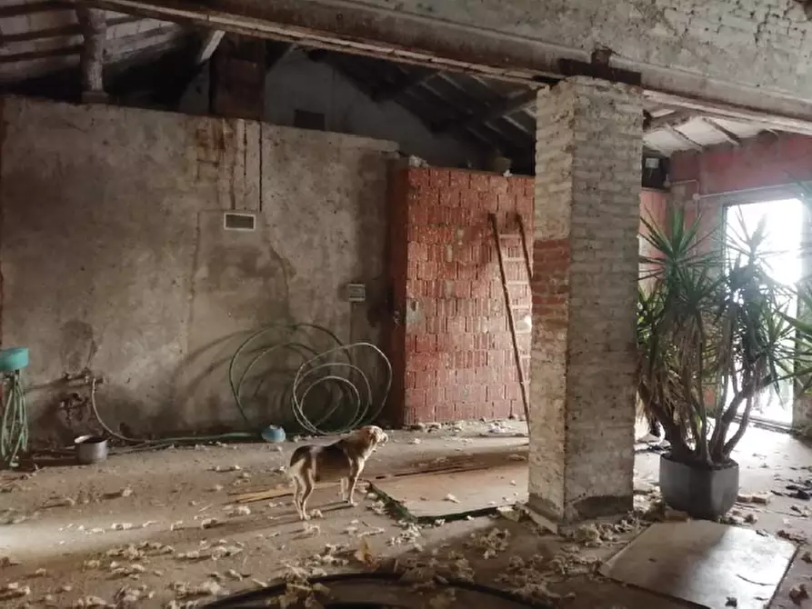 Immagine 24 di Casa indipendente in vendita  in Via Ca' Rotte 11 a Cerea