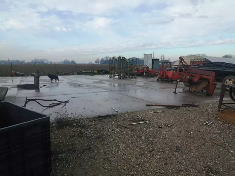 Immagine 53 di Casa indipendente in vendita  in Via Ca' Rotte 11 a Cerea