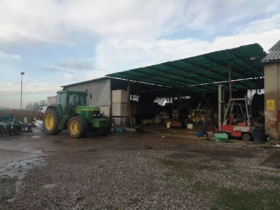 Immagine 55 di Casa indipendente in vendita  in Via Ca' Rotte 11 a Cerea