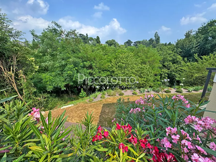 Immagine 4 di Appartamento in affitto  in Via Foresto Nuovo a Asolo