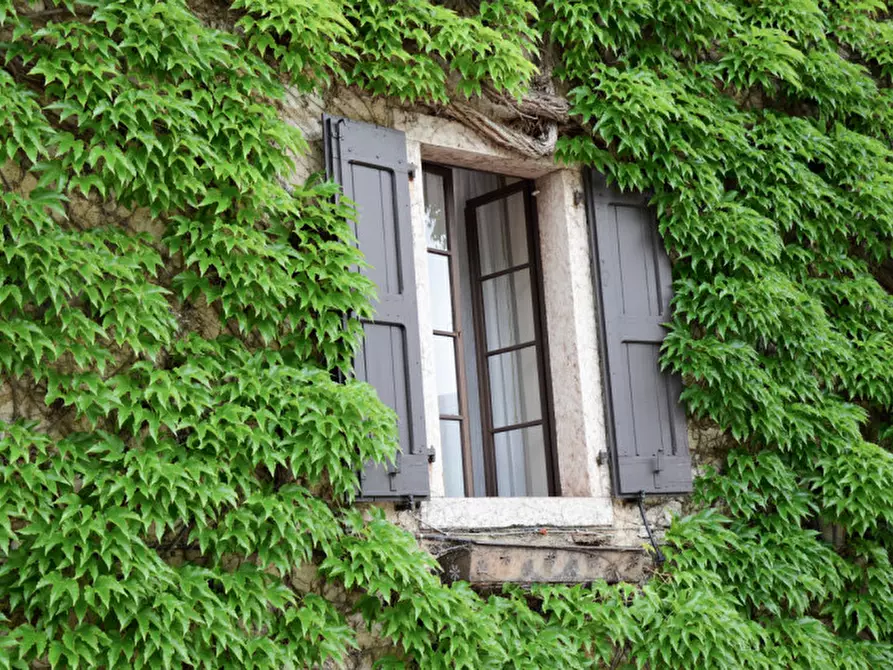 Immagine 52 di Villa in vendita  in Via Lagolo a Madruzzo