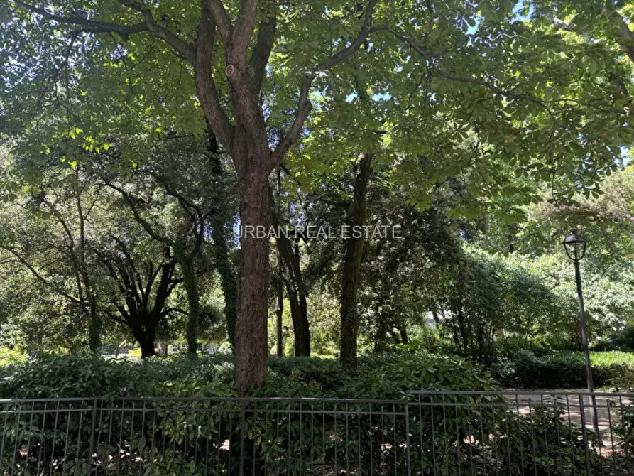 Immagine 34 di Appartamento in affitto  in Via di Cologna 6 a Trieste
