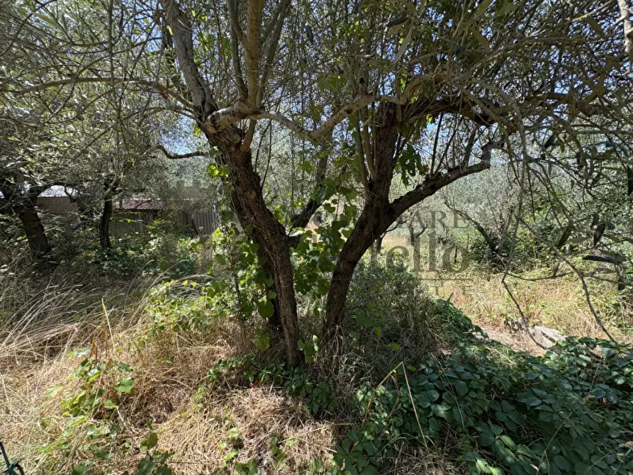 Immagine 17 di Villetta a schiera in vendita  in Via delle Coste a Piegaro