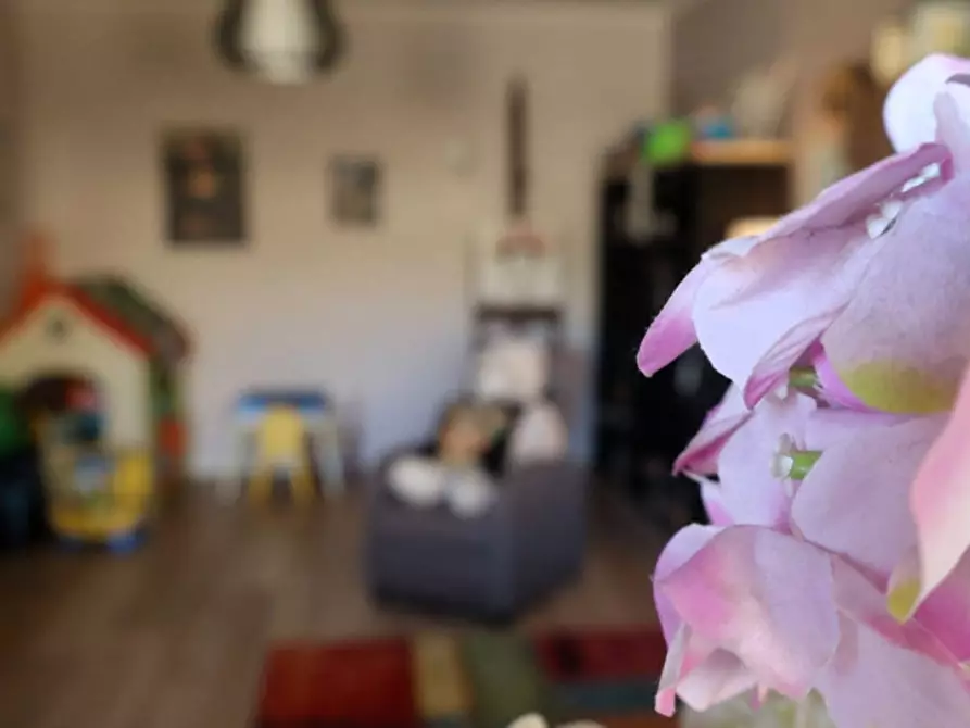 Immagine 5 di Appartamento in vendita  in Via Sant' Antonio 111 a Montescaglioso