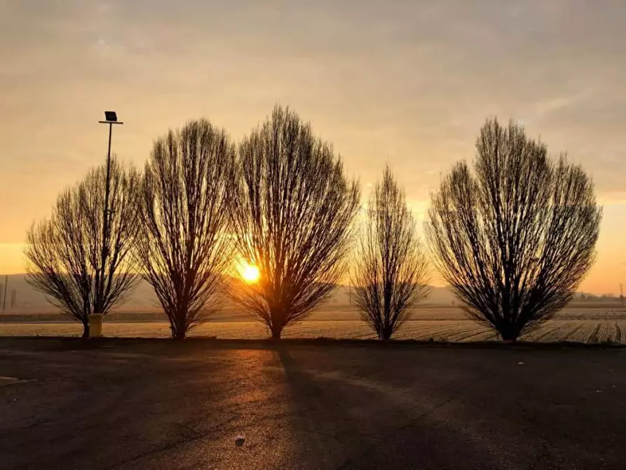 Immagine 3 di Casa indipendente in vendita  a Lonigo