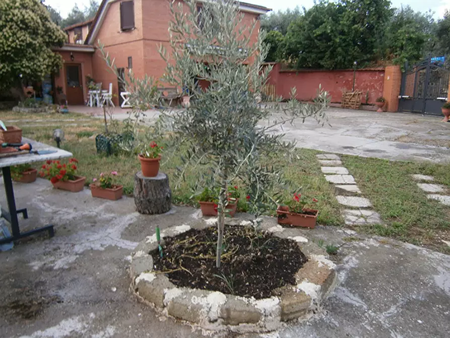 Immagine 5 di Villa in vendita  in Loc.tà Fonte Cavalla a Palombara Sabina