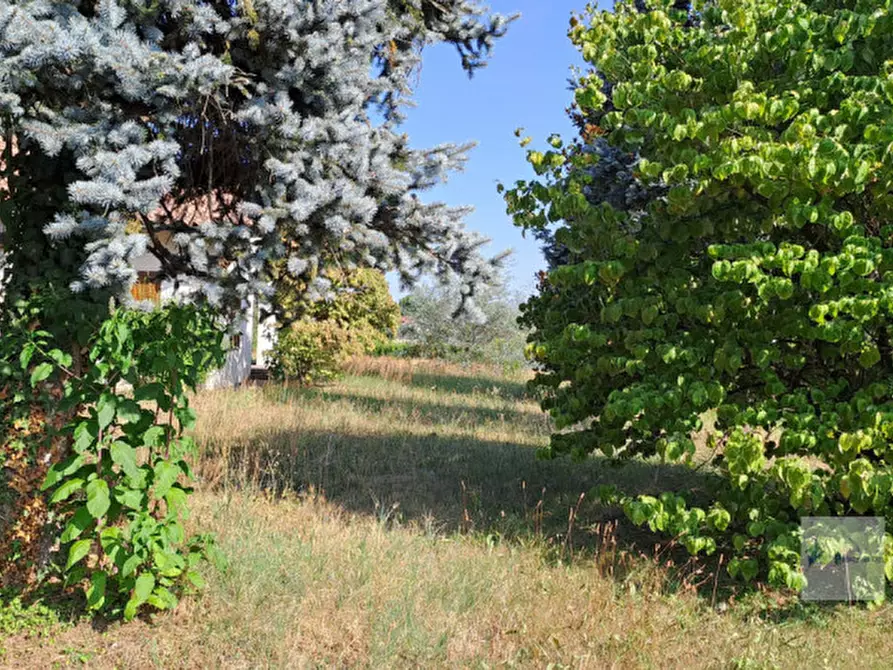 Immagine 8 di Villa in vendita  in VIA villoresi a Robecchetto Con Induno