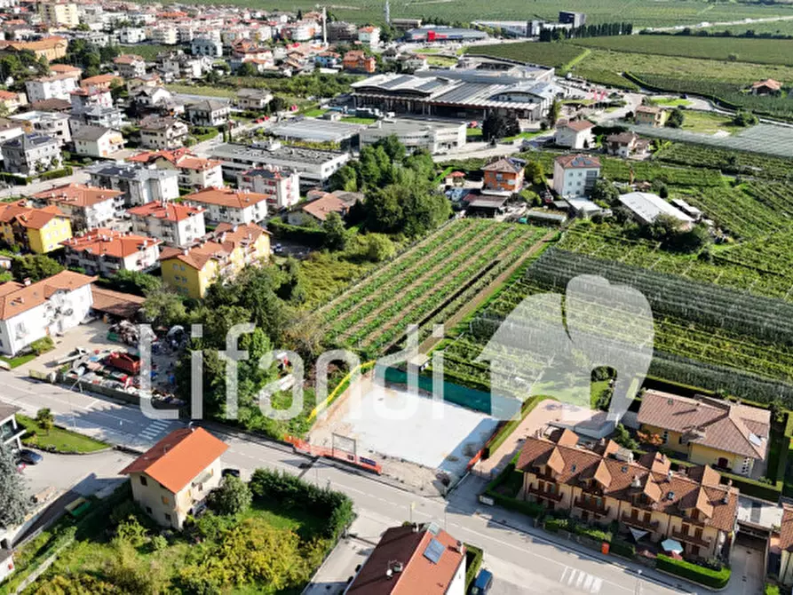 Immagine 3 di Appartamento in vendita  in Via Trento a Mezzolombardo