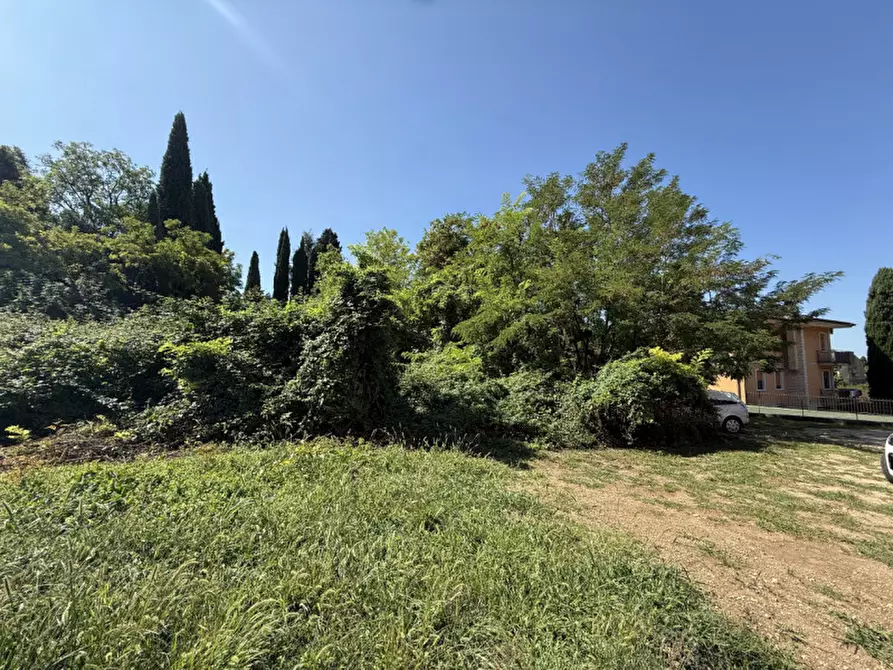 Immagine 1 di Terreno in vendita  in Via Rossini a San Pietro In Cariano