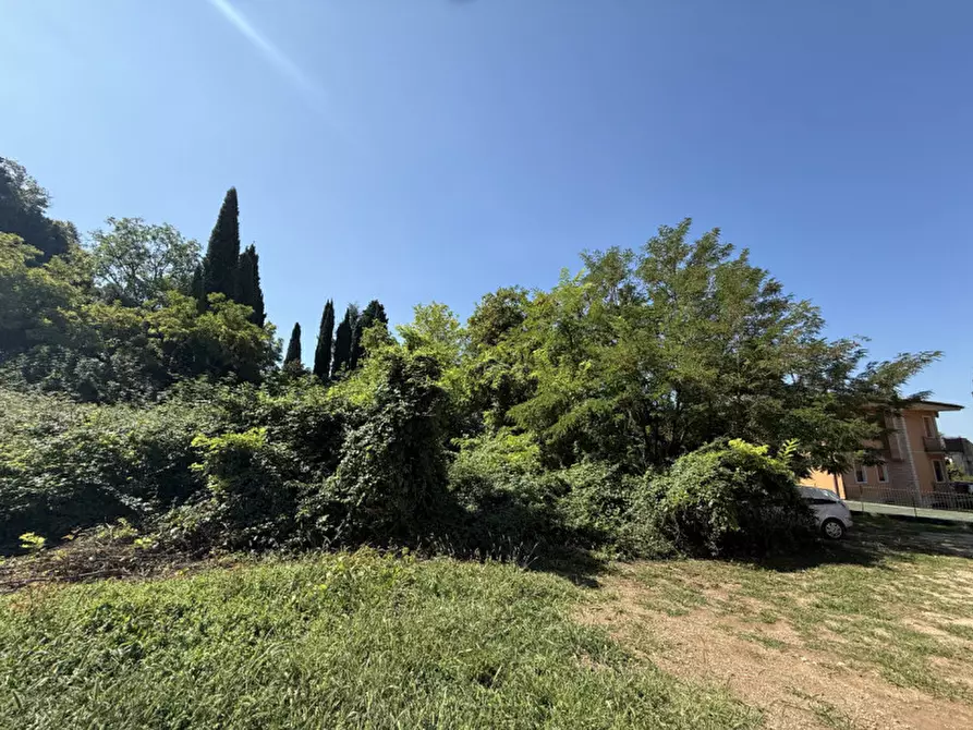 Immagine 2 di Terreno in vendita  in Via Rossini a San Pietro In Cariano