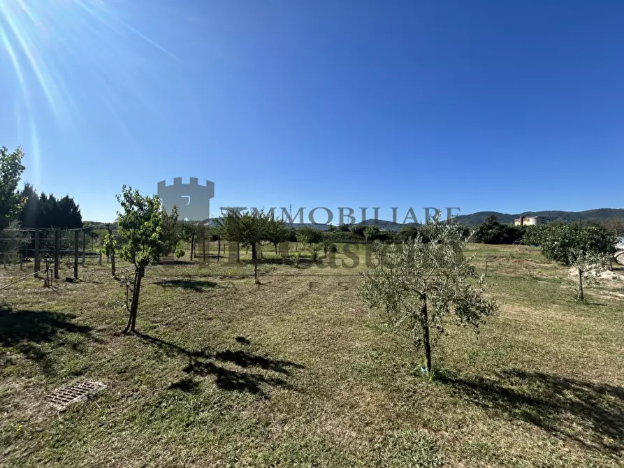 Immagine 14 di Villa in vendita  a Piegaro