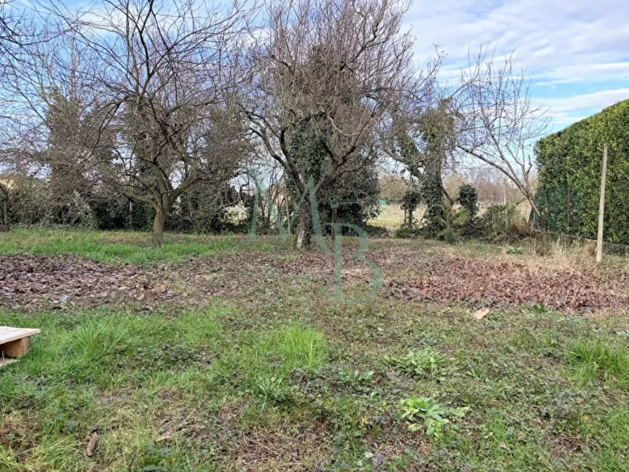 Immagine 26 di Villa in vendita  in Via San Pio X a Vigonza