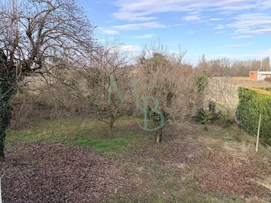 Immagine 27 di Villa in vendita  in Via San Pio X a Vigonza