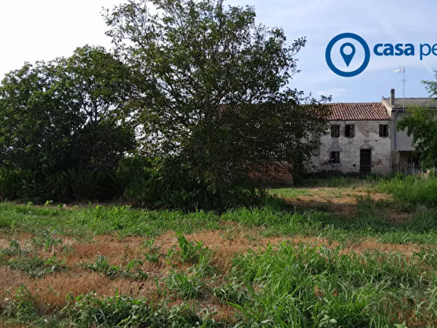 Immagine 8 di Rustico / casale in vendita  in SP55 21 a Lendinara