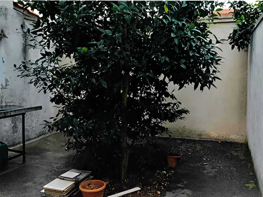 Immagine 8 di Negozio in vendita  in Via di Soleto a Galatina