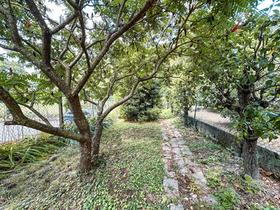 Immagine 16 di Appartamento in vendita  in Corso Valsesia, 267 a Gattinara