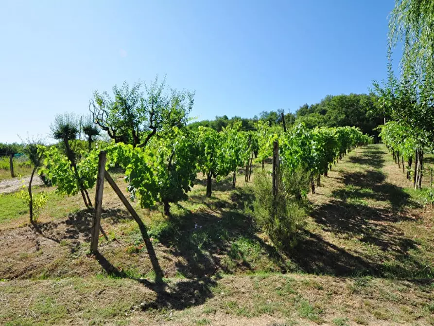 Immagine 23 di Casa indipendente in vendita  in Via Montecarlo a San Giovanni Valdarno