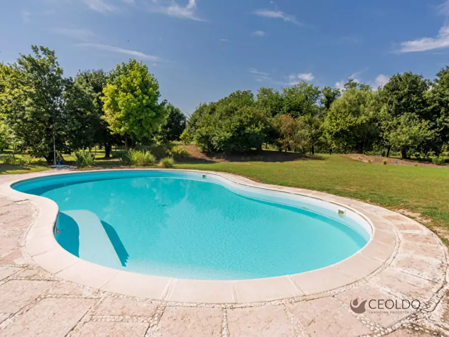 Immagine 5 di Villa in vendita  in via Umberto I a Vigonza