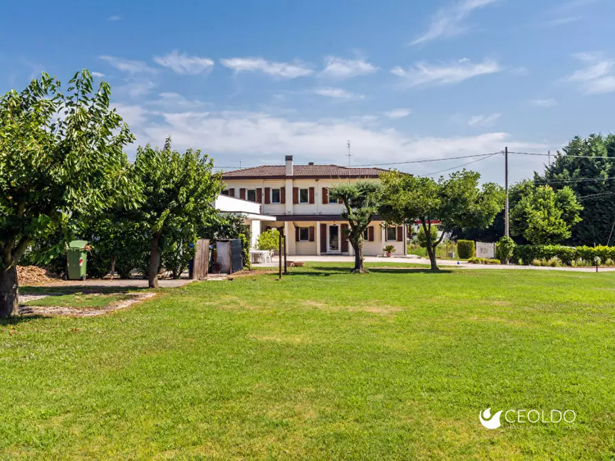 Immagine 22 di Villa in vendita  in via Umberto I a Vigonza