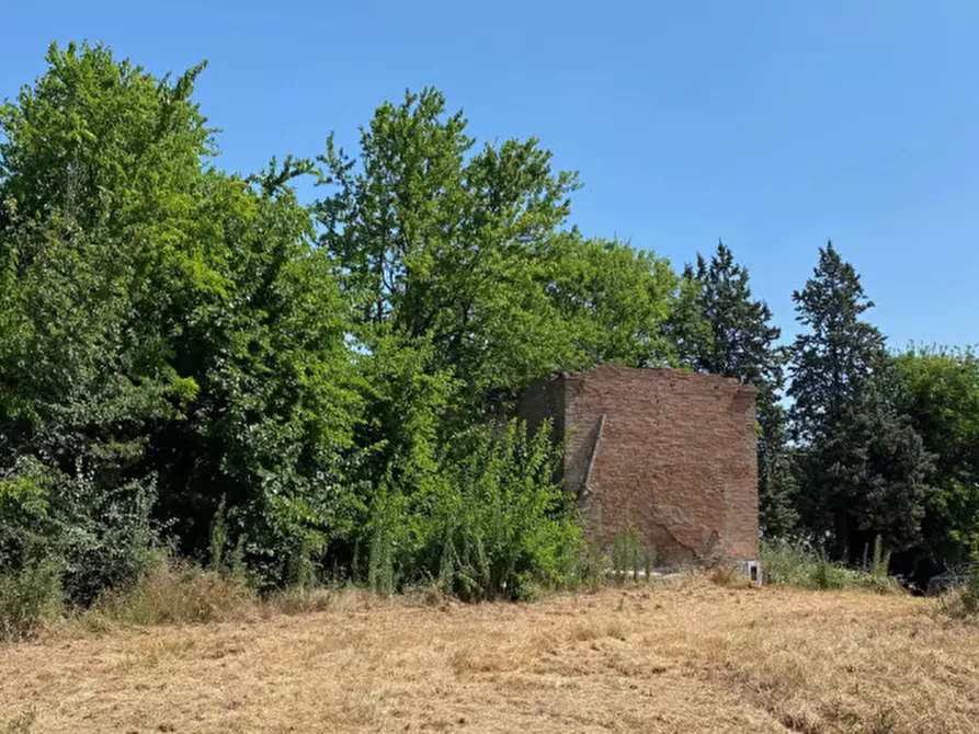 Immagine 5 di Rustico / casale in vendita  in Via moglio a Sasso Marconi