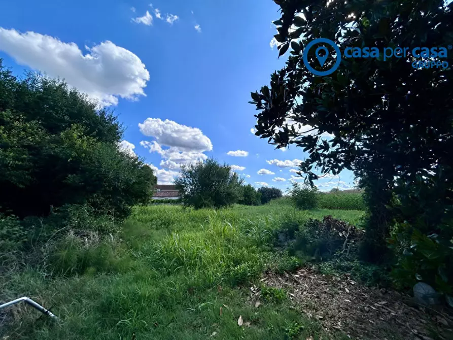 Immagine 8 di Rustico / casale in vendita  in Via Ronchello 178 a Lusia