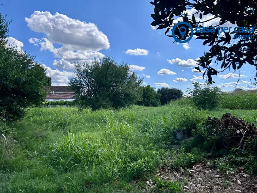 Immagine 9 di Rustico / casale in vendita  in Via Ronchello 178 a Lusia