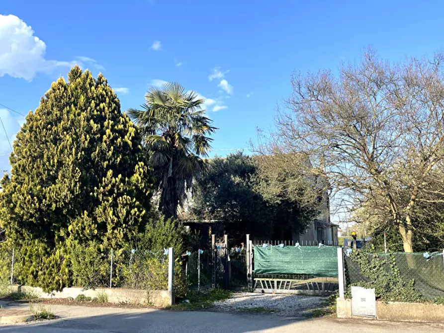 Immagine 3 di Casa bifamiliare in vendita  in Via Guglielmo Marconi a Campolongo Maggiore
