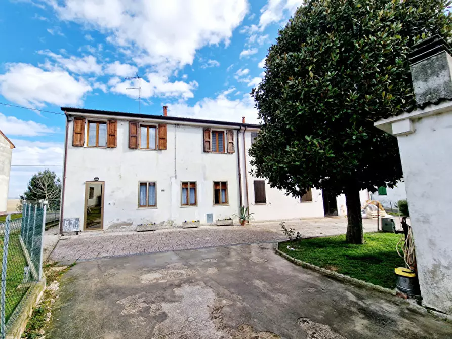 Immagine 1 di Casa bifamiliare in vendita  in VIA PAOLINO a Fratta Polesine