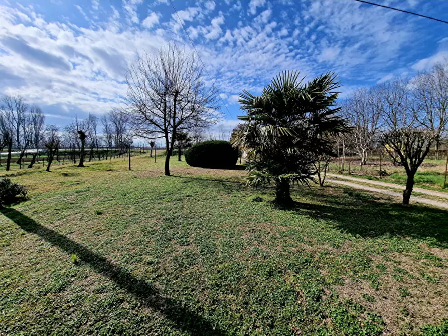 Immagine 14 di Casa bifamiliare in vendita  in VIA PAOLINO a Fratta Polesine
