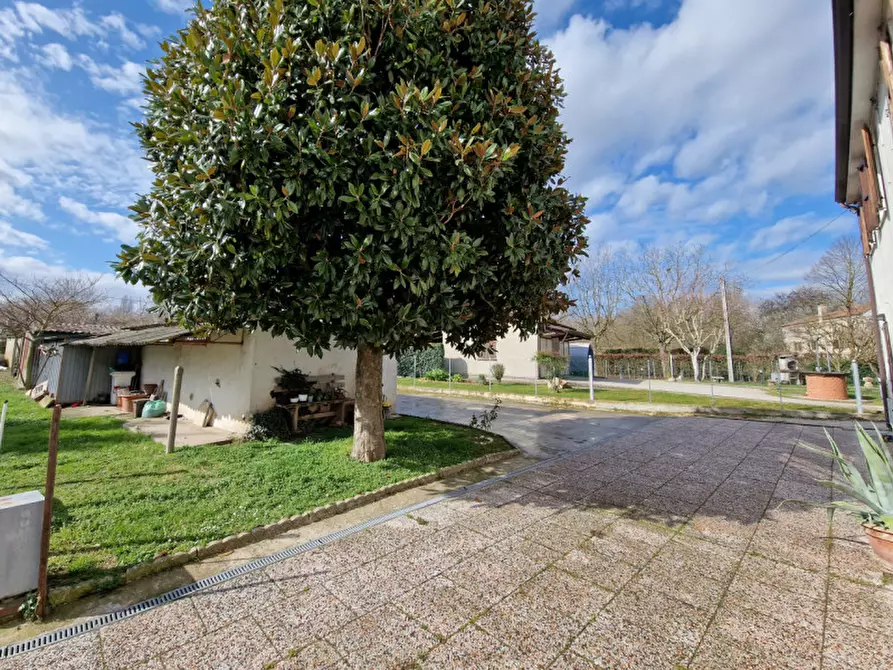 Immagine 17 di Casa bifamiliare in vendita  in VIA PAOLINO a Fratta Polesine