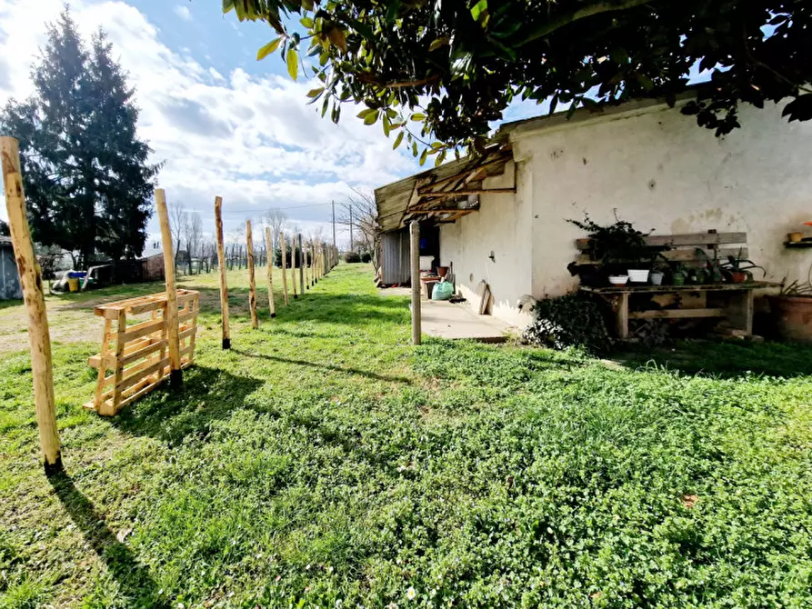 Immagine 18 di Casa bifamiliare in vendita  in VIA PAOLINO a Fratta Polesine