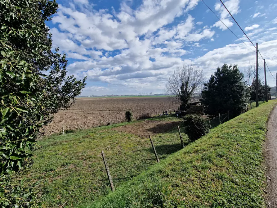 Immagine 19 di Casa bifamiliare in vendita  in VIA PAOLINO a Fratta Polesine