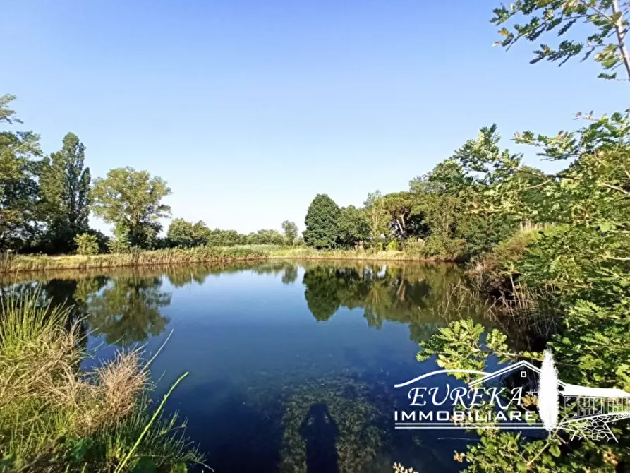 Immagine 18 di Casa indipendente in vendita  in Panicarola a Castiglione Del Lago