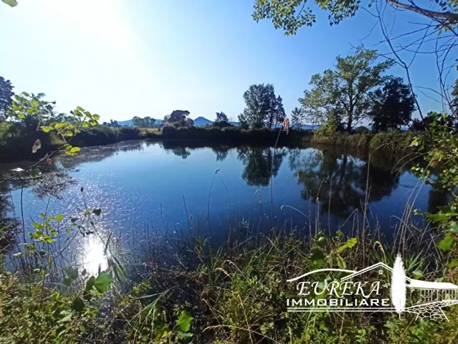 Immagine 19 di Casa indipendente in vendita  in Panicarola a Castiglione Del Lago