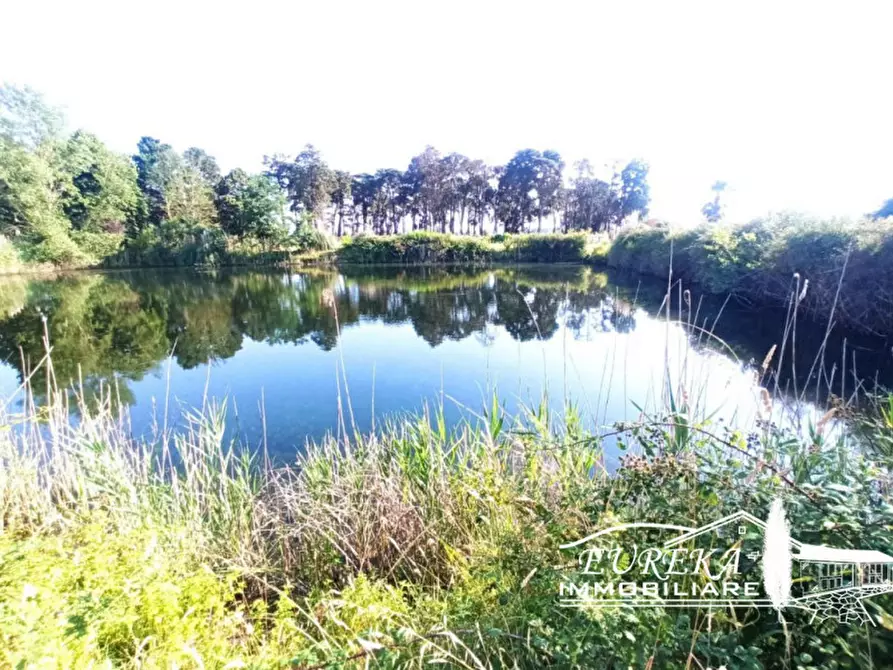 Immagine 20 di Casa indipendente in vendita  in Panicarola a Castiglione Del Lago