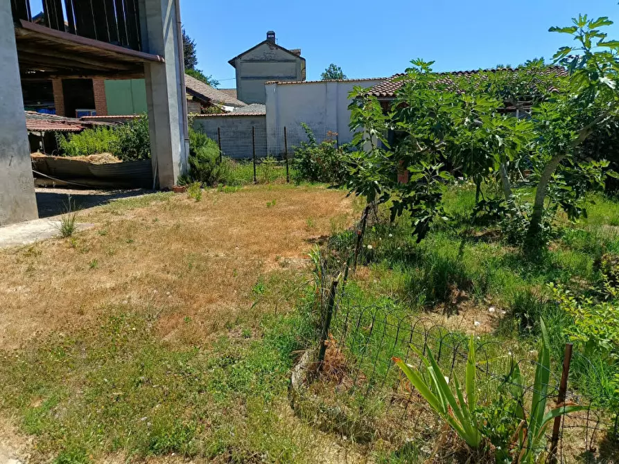 Immagine 7 di Casa indipendente in vendita  in Via San Sebastiano   8 a Frassineto Po
