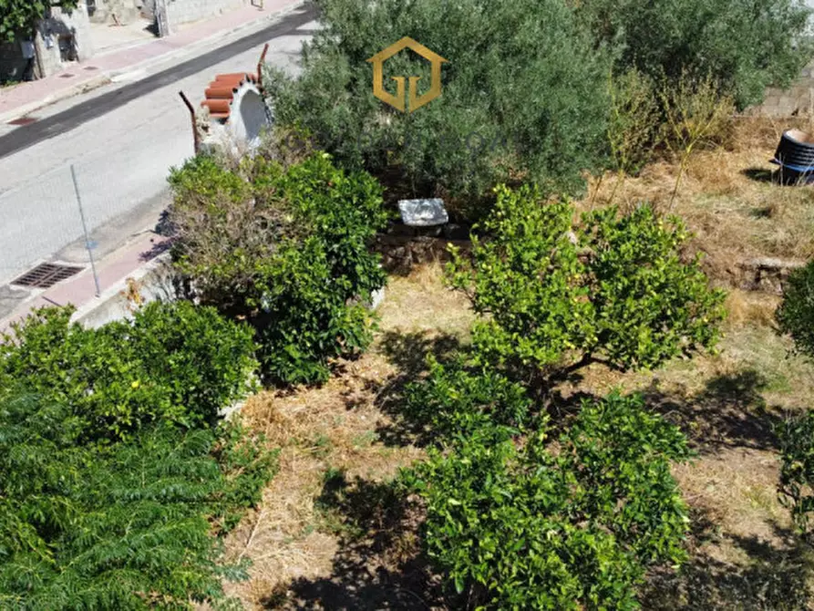 Immagine 3 di Terreno in vendita  in Via Torquato Tasso a Loiri Porto San Paolo