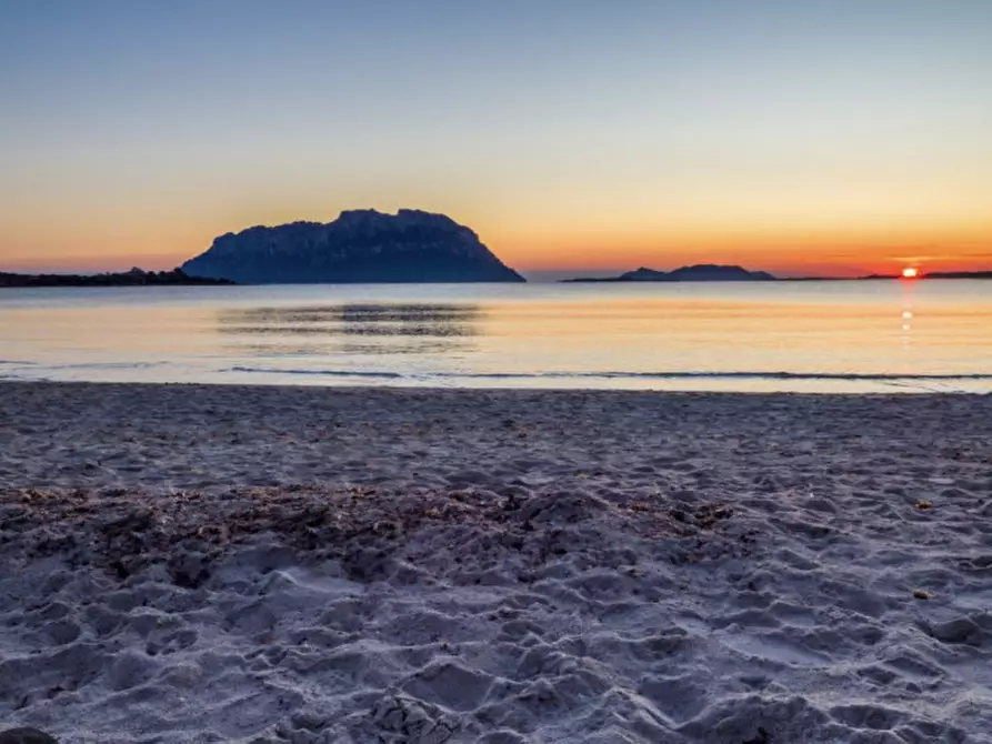 Immagine 16 di Terreno in vendita  in Via Torquato Tasso a Loiri Porto San Paolo